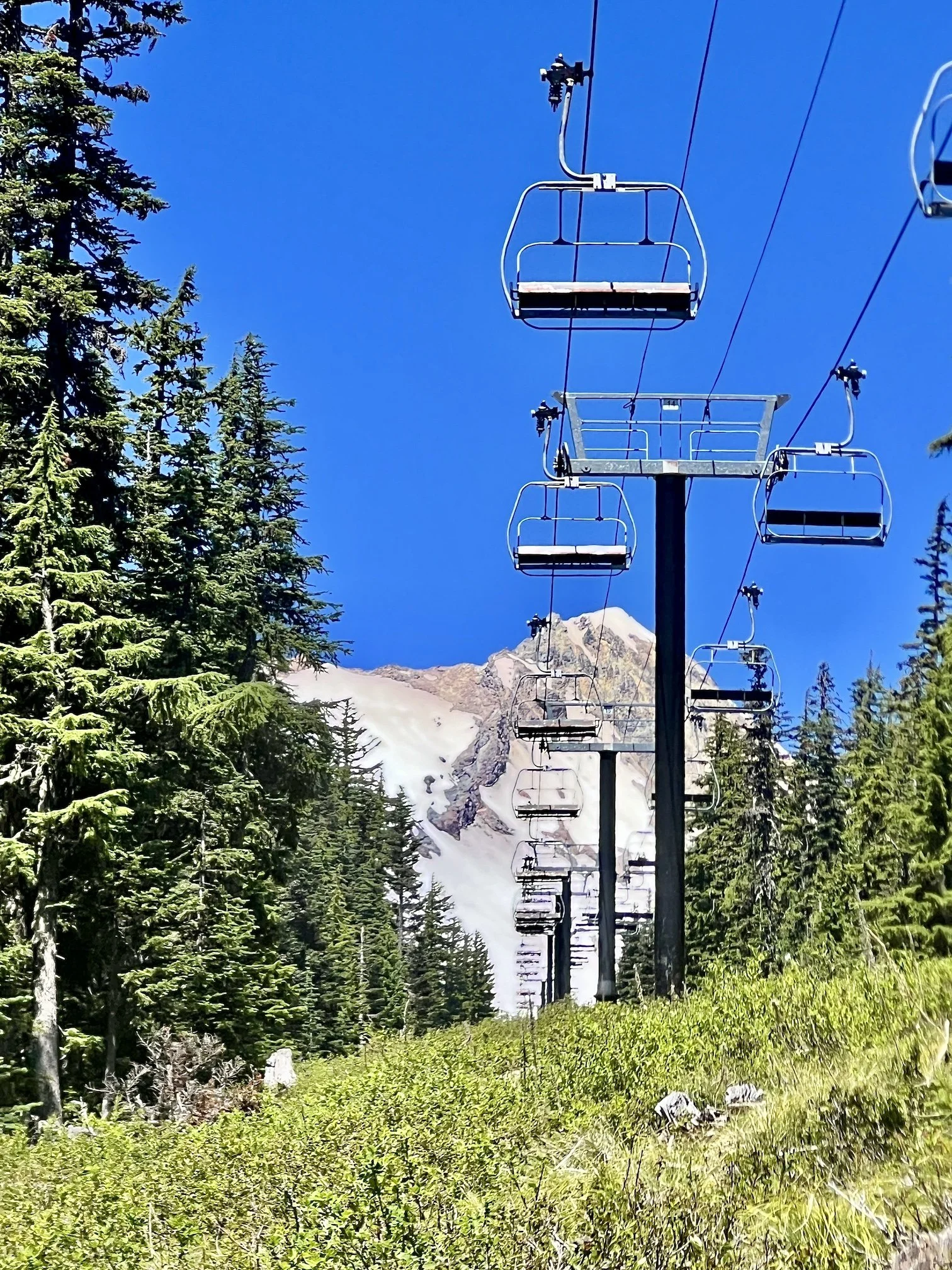 Escape the Heat: Mt. Hood Meadows Offers Cool Summer Adventure